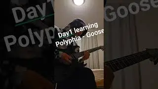 one of the first polyphia songs that I listened to 🤘