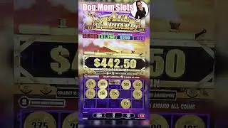 ALL ABOARD Dynamite Dash BONUS GAME! #slots #casino #gambling #bonus