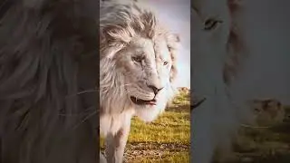 Why kiros is white lions || mufasa the lion King 🦁|| #shorts #youtubeshorts #mufasa