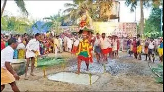 திம்மூரில் ஶ்ரீ பச்சையம்மன் தீமிதி பெருந்திருவிழா