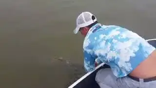 Martin Korner releasing a giant Yellow Cheek to the wild