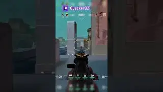 Aiming down sights vs not
