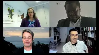 Assessing capacity development needs for the use of DSI