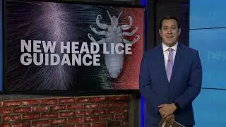 Kids with head lice shouldn&rsquo;t be sent home from school, new guidance suggests
