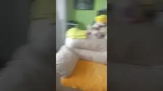 ви лов