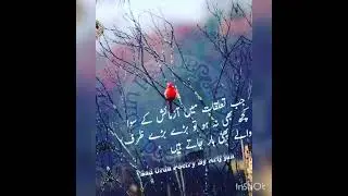 Kawish Tehmimi