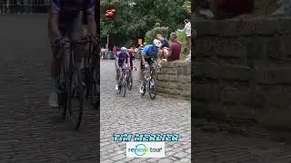 Tim MERLIER /RENEWI TOUR 2025