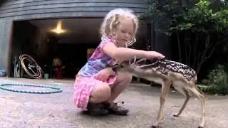 The Deer Whisperer