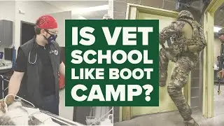 Is Vet School Like Boot Camp?