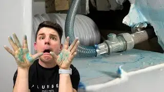 Fixing a toilet turned me blue!