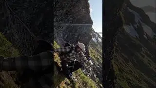 Putting up fences at the cliff&rsquo;s edge #farmlife #homesheephome #sheepherding #nature #norway