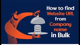How to find website URL from company name in bulk?