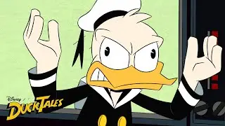 Not Understanding Donald Duck for 22 Minutes  | Compilation | DuckTales | Disney XD