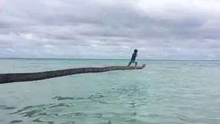 La taule