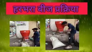हरभरा बीज प्रक्रिया#harbhara#chanafarming#हरभरा#चना#चणा#farmer #shetkari #farming#farm #chana #sheti