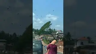 മനസ്സലിയിപ്പിക്കുന്ന ഈ കാഴ്ച നിങ്ങൾ കണ്ടിരുന്നോ..😱😥😥 | @SAHILSAKKEER  #naturelovers