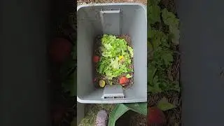 Compost Lasagna or Parfait #beginnergardener