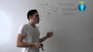 Curso Basico De Marketing Por Internet