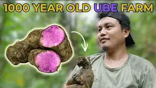 The World Thinks It Knows Ube. It Doesn&rsquo;t.