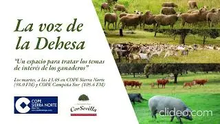 La Voz de la Dehesa 9x4.- Demofarm (21.10.2025)