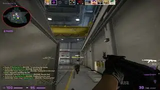 birdfromsky.exe