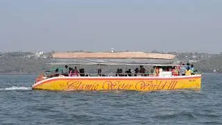 Irresponsible Dolphin Trips