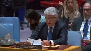 Sesión Consejo de Seguridad octubre 03, 2025 sobre Misión de Verificación de la ONU en Colombia