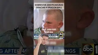 Sobrevive a 400 picaduras gracias a dragon ball.#supervivencia #sab&iacute;asque #curiosidades