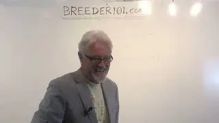 All about dog breeding Q&A 8/25/23