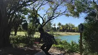 Disc golf Snyder Park hole 4 South Florida
