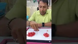 Natural Red Coral, Details Of Red Coral Stone/ Real v/s Fake Stone  #astrologygemstone#redcoral#gems