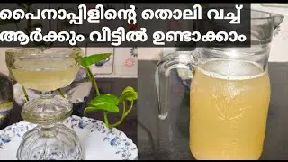 pineapple tepache malayalam/painappil recipe/pineapple tepache/our dhanya's world