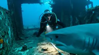 I DIVED into a decades-old CARGO SHIPWRECK&mdash;and then I SAW something SHOCKING!