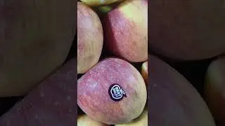 hot climate apple #chasa #farming #organicfarming
