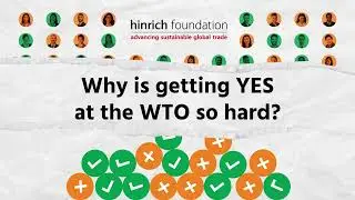 Why is getting yes at the WTO so hard? | Hinrich Foundation