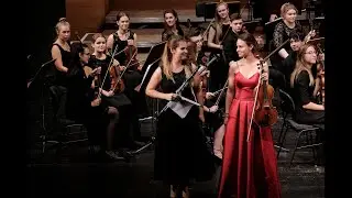 Max Bruch: Konzert für Klarinette, Bratsche und Orchesterin e-Moll, op. 88
