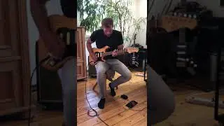 Fender Lace Sensor Pickups Rock&rsquo;n&rsquo;Roll