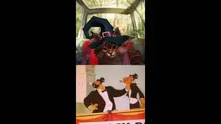 Kitty Caramel is watching popeye