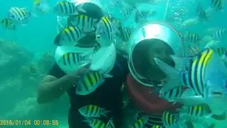 Seawalk in India ( Andaman islands)