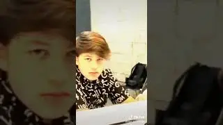 #elyankee
