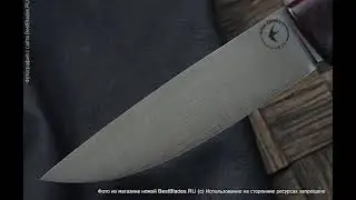 Нож Apus Knives Guard Dog (N690, красно-черная G10)