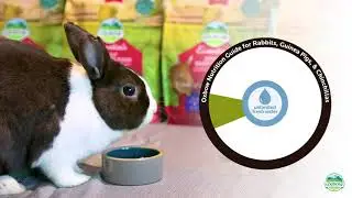 Oxbow Animal Health Bunny Basics Essential Reviews
