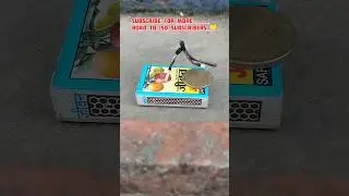 Matchstick burning  easy experiment with twist |#matchstickexperiment#shorts#viral#experimentshorts