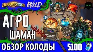 🌟 Агро шаман колода обзор(вольный формат)(2017) | HEARTHSTONE