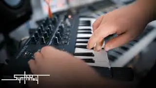MicroBrute - Demo 1 ( No Talking )