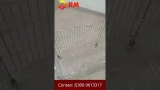 Cage Trolley|Rack Master|Best Rack Manufacturing Company|Gujranwala|Pakistan