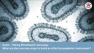 Taking One Health seriously: What are the concrete steps to build an effective pandemic instrument?