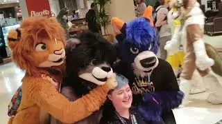 CONFUZZLED 2019