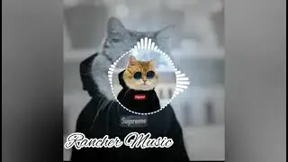 Hrrrr