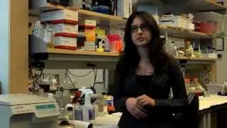 Linda Saab: The First Brehm Scholar
